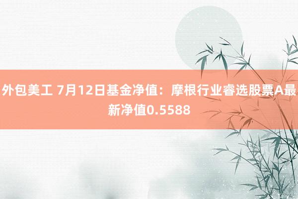 外包美工 7月12日基金净值：摩根行业睿选股票A最新净值0.5588