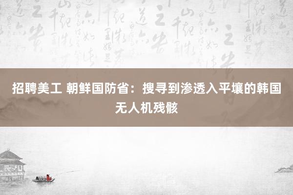 招聘美工 朝鲜国防省：搜寻到渗透入平壤的韩国无人机残骸