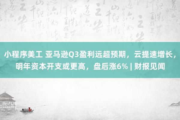 小程序美工 亚马逊Q3盈利远超预期，云提速增长，明年资本开支或更高，盘后涨6% | 财报见闻